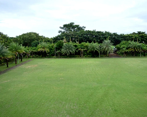 Lawns