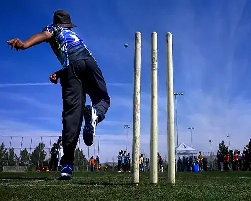 Cricket Pitch