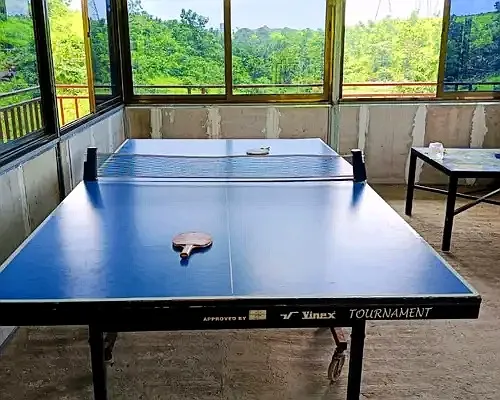 Table Tennis