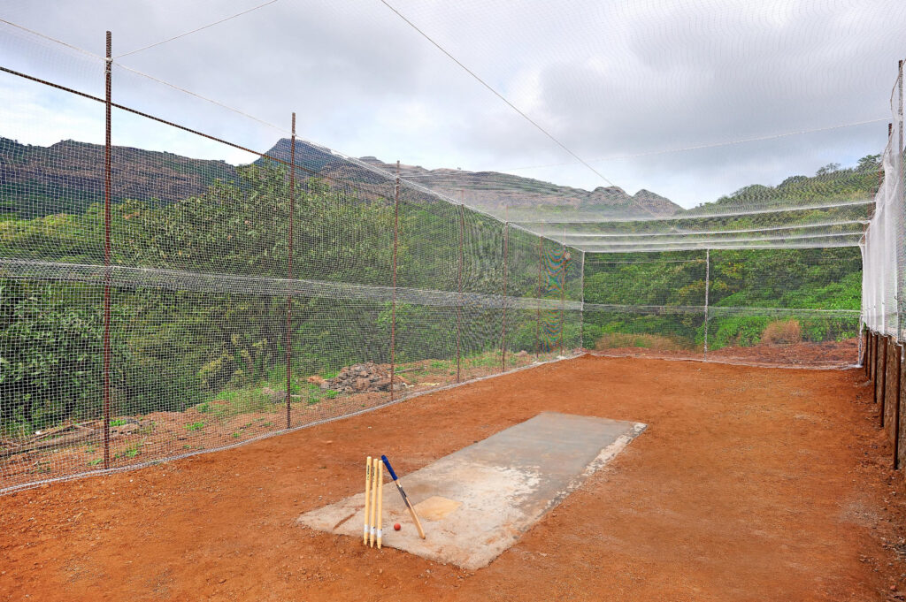 Cricket