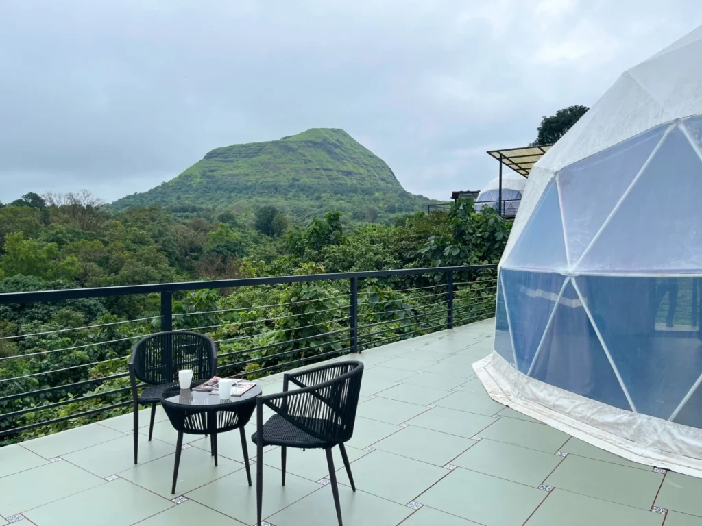 Forest View Dome